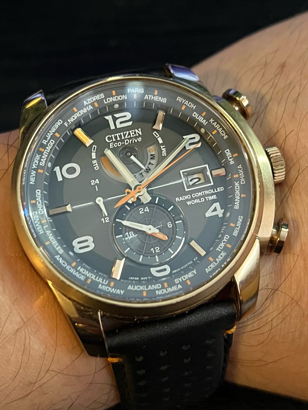 Citizen Eco-Drive World Time Rose Gold Model AT9013-03H